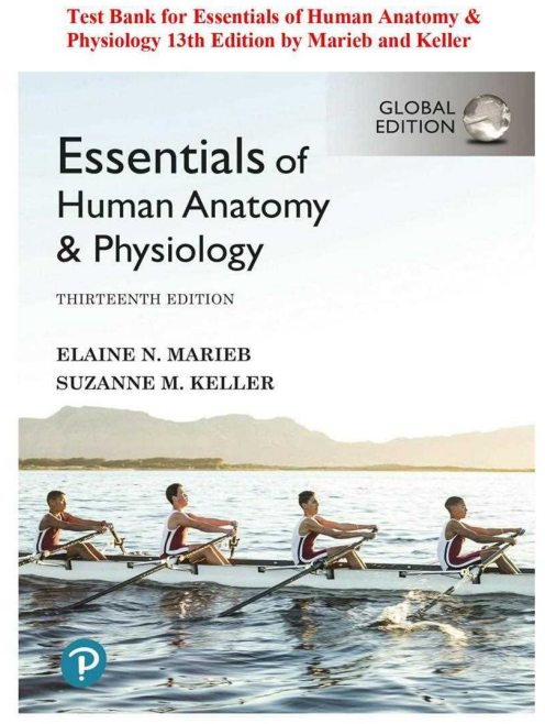 Test Bank for Essentials of Human Anatomy & Physiology, 13th Edition by Marieb and Keller