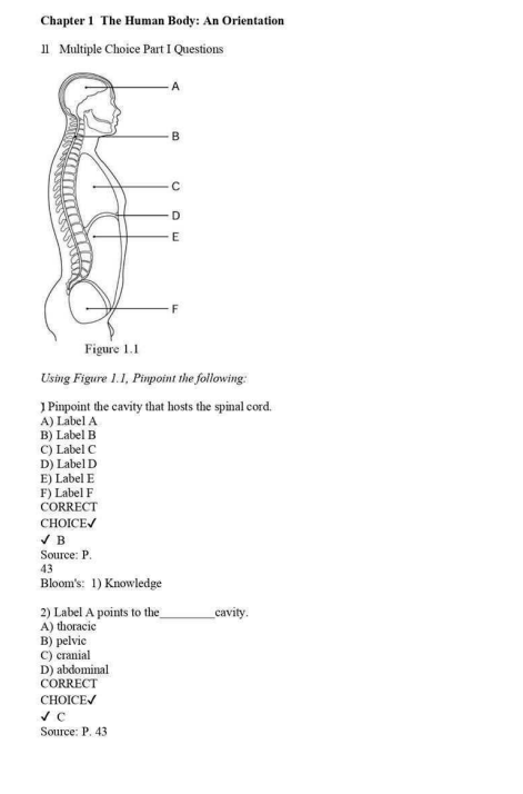 Test Bank for Essentials of Human Anatomy & Physiology, 13th Edition by Marieb and Keller - Image 2