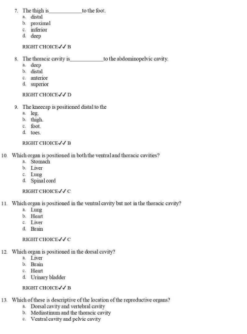 Verified Test Bank for The Human Body in Health and Illness 7th Edition | Anatomy & Physiology Exam Prep - Image 3